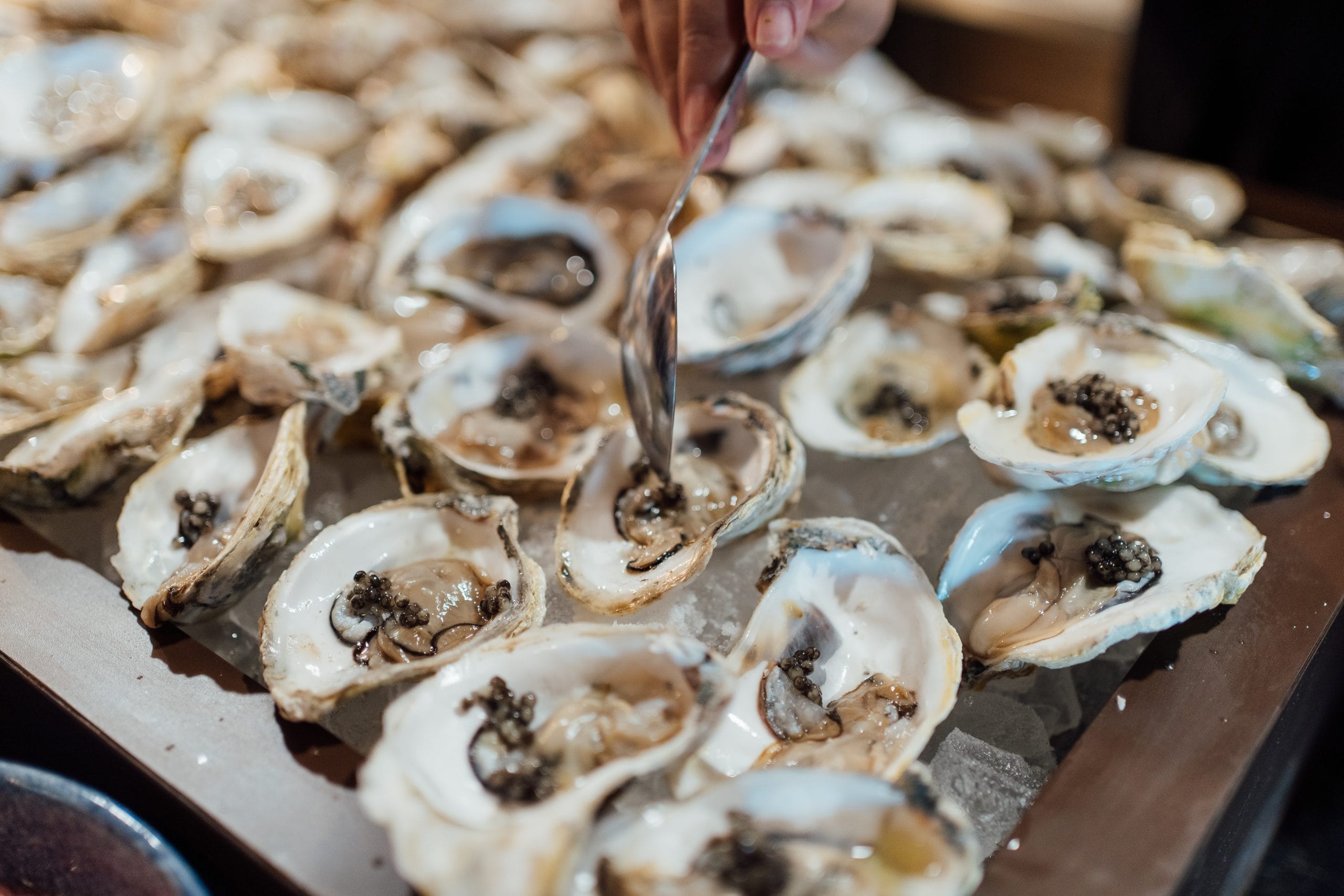 A platter of gourmet oysters