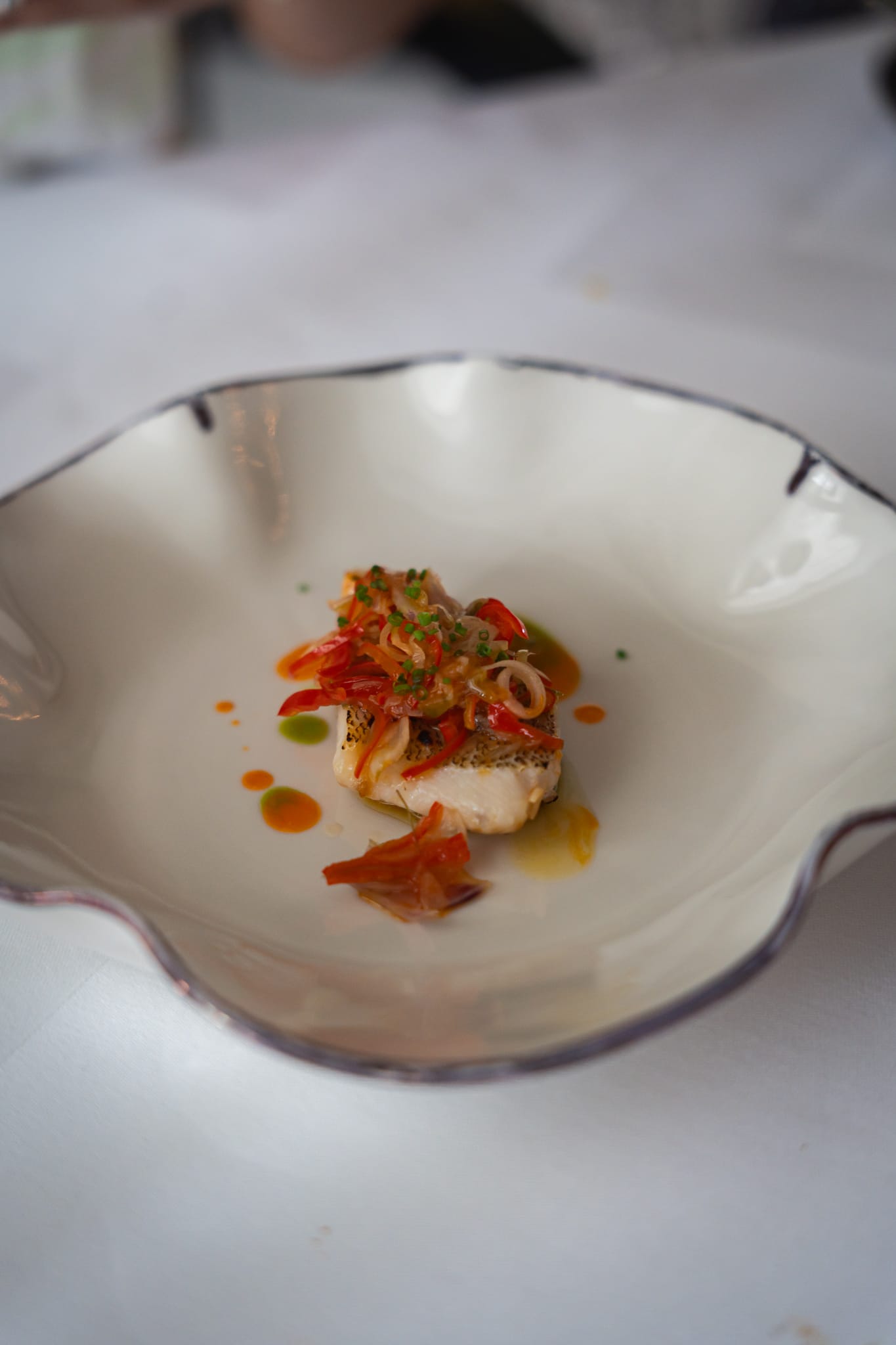 A catered dish of fish with tomato salsa topping